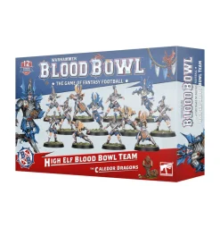 Blood Bowl: High Elf Blood Bowl Team: The Caledor Dragons