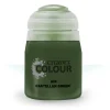 Citadel: Castellan Green (Air) - 24ml