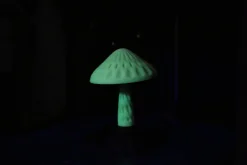 3DE Premium - PETG Glow In Dark - Green - 1.75mm - 1kg