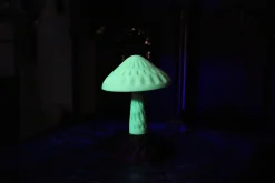 3DE Premium - PETG Glow In Dark - Green - 1.75mm - 1kg