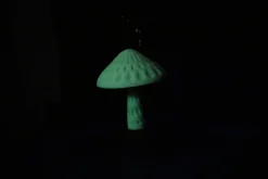 3DE Premium - PLA Glow in Dark - Green - 1.75mm - 1kg