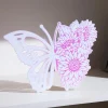 xTool - Two-Tone Glossy Acrylic Sheet Plexiglass - 3mm - Pink Iridescent (3 pcs)